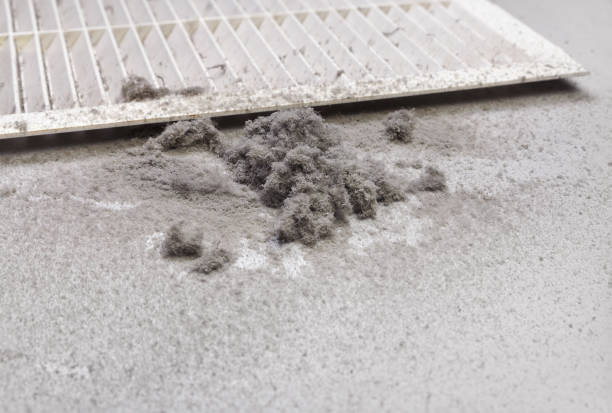 Best Ventilation Cleaning Services  in Bridgeton, MO