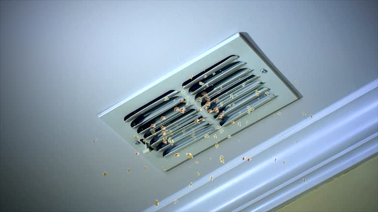 Best Commercial Air Duct Cleaning  in Bridgeton, MO