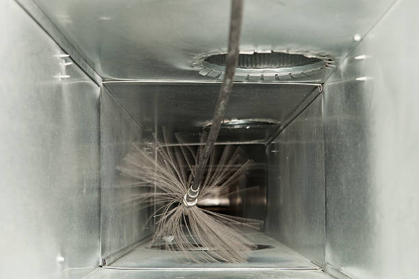Best Air Duct Mold Removal  in Bridgeton, MO